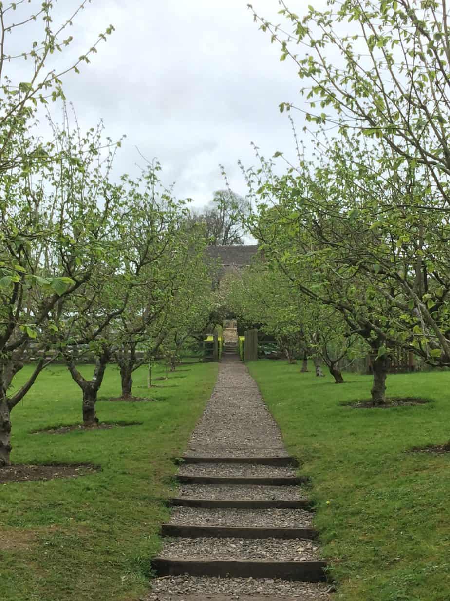 Orchard at Snowshill Manor
